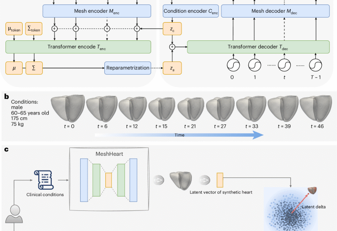 A personalized time resolved 3D mesh generative model for unveiling normal.png
