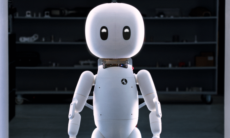 Cartwheel Robotics Social Humanoid for the Home.png