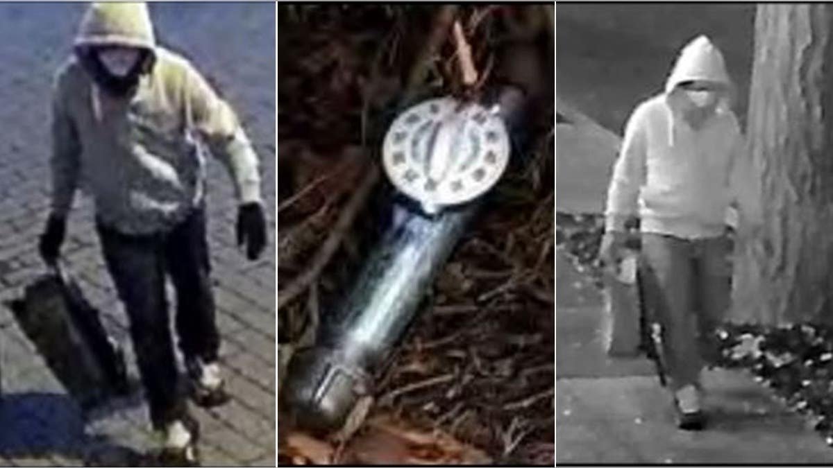 Monitoring pictures of a pipeline suspect