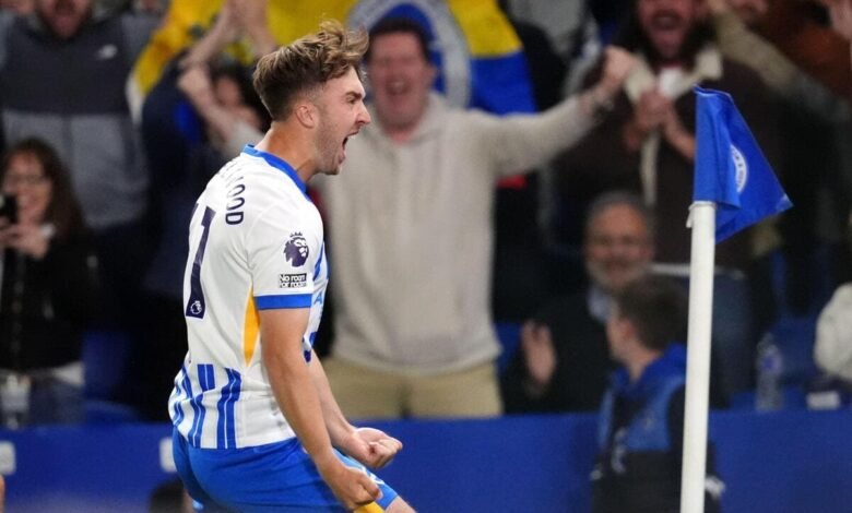 Hinshelwood boosts Seagulls faint European hopes.jpg
