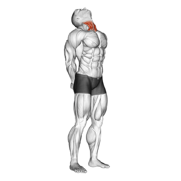 Cracking of the neck: Is it safe or harmful? All you need to know 5 Neck exercises