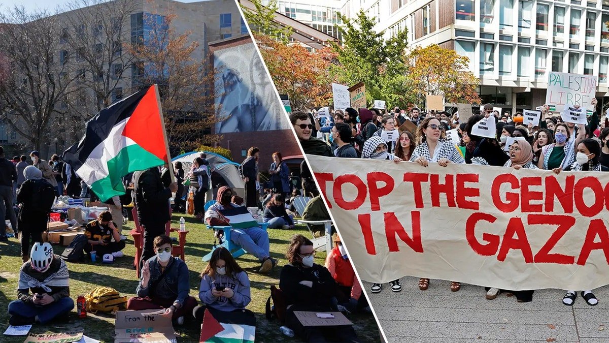 Harvard protests supporting the Palestinian