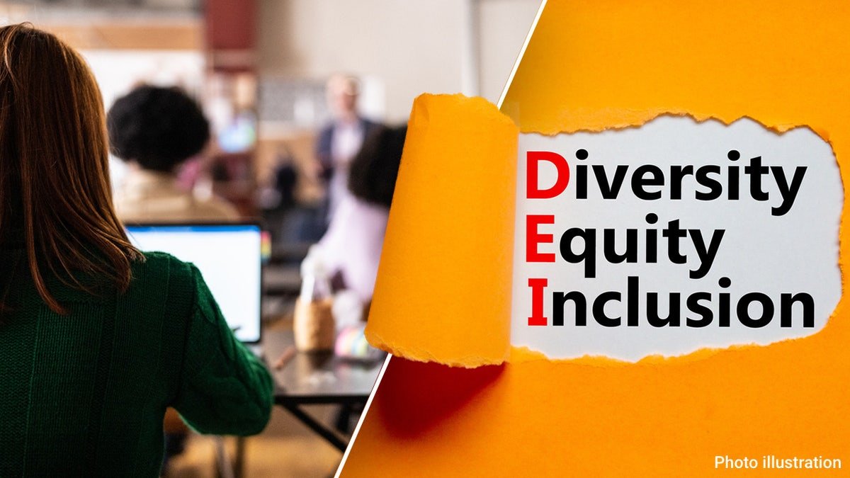 A woman sitting in separation with a laptop alongside words "The diversity of the inclusion of property rights"