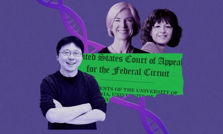 The Download CRISPR in court and the polices ban skirting AI.jpg