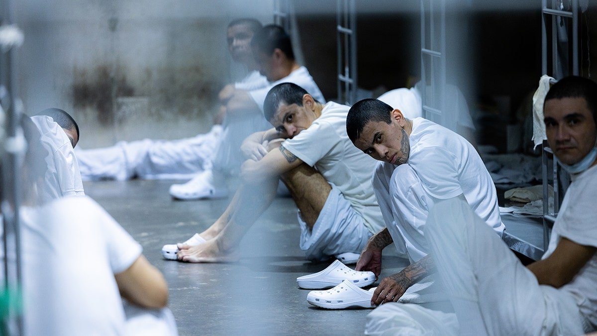 TDA members in Cecot on the ground sit in white costume and crocodiles