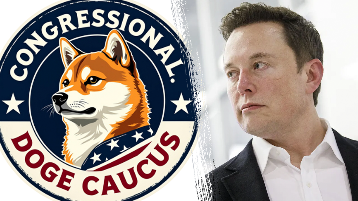 The slogan of Elon Musk and Douj Cocos