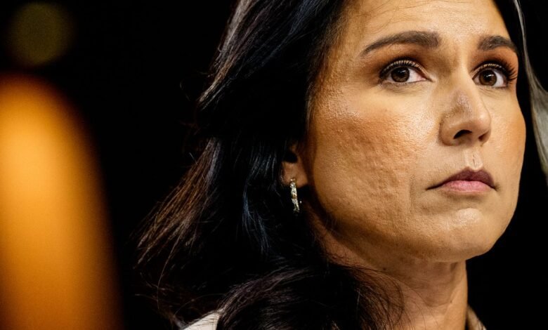 Tulsi Gabbard Reused the Same Weak Password on Multiple Accounts.jpg