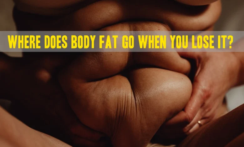 Where Does That Lost Weight Really Go The Surprising Truth.webp.webp