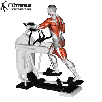 The best heart equipment for the first time in the gym 7 Oval