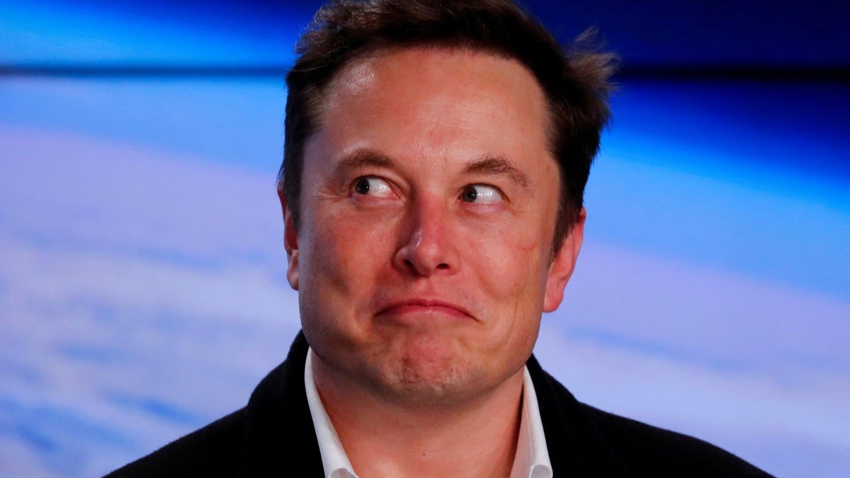Participant founder and CEO of Tesla
