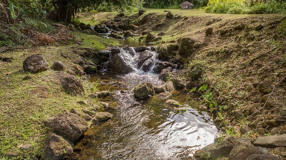 A stream that passes through the property.