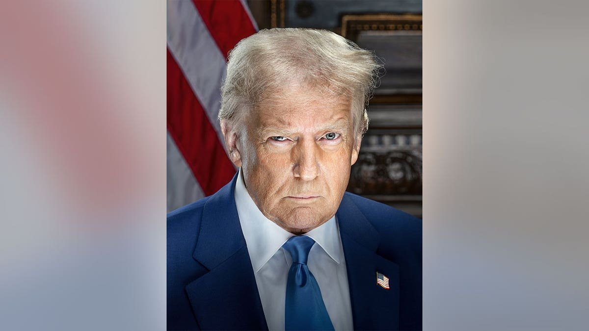 President -elect Donald J. Trump in his official image.
