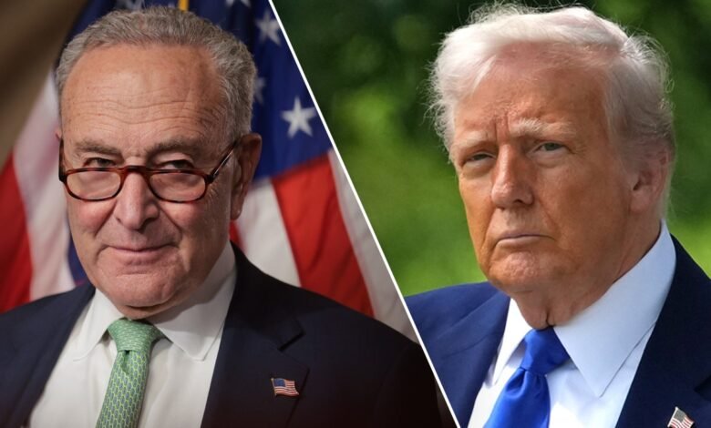 1748949276 Schumer coordinates Democratic resistance to Trump backed reconciliation bill.jpg
