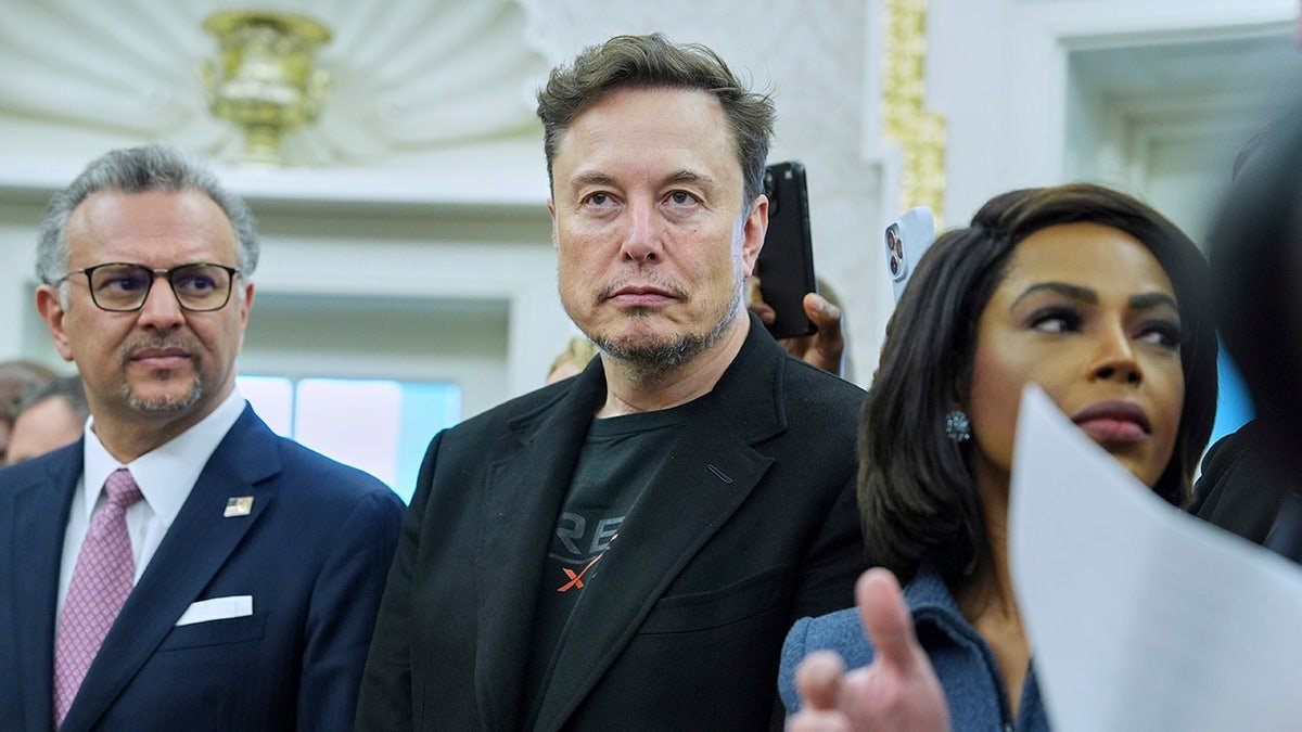 Elon Musk at the White House