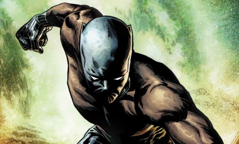 1749116262 Marvels New Black Panther Revealed After TChallas Death And Its.jpg