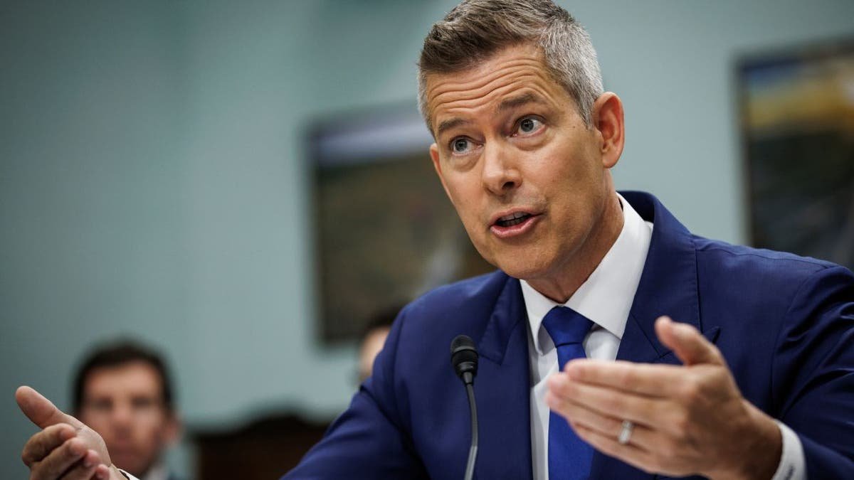 Transport Minister Sean Duffy witnesses during a hearing before the Credit Committee in the House