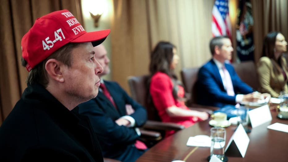 Musk at the White House cabinet meeting