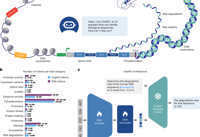 1749229187 A multimodal conversational agent for DNA RNA and protein tasks.png