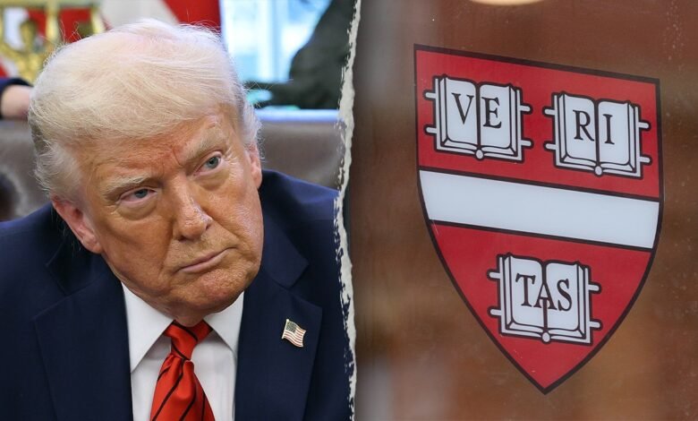 1749295383 Harvards temporary court victory over Trump unlikely to last experts.jpg