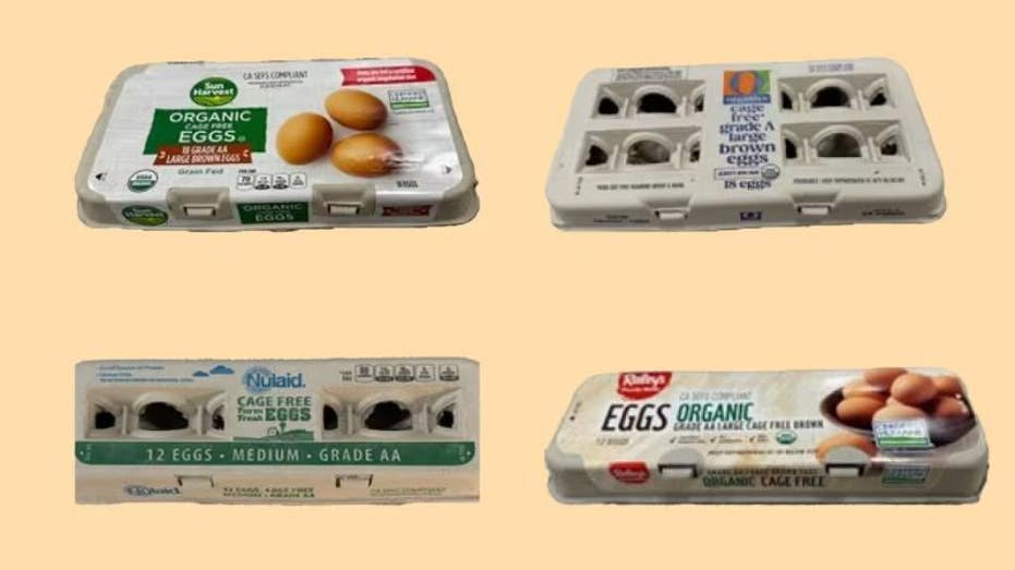 Egg carton shares