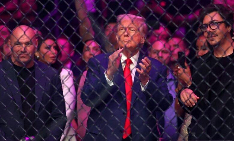 1749427326 UFC fans have mixed feelings on Trump ahead of his.jpg