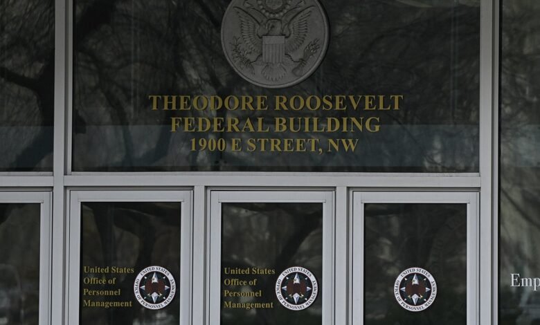1749564564 Judge limits Trumps DOGE access to OPM databases citing privacy.jpg