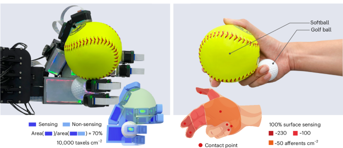 1749567743 Embedding high resolution touch across robotic hands enables adaptive human like grasping.png