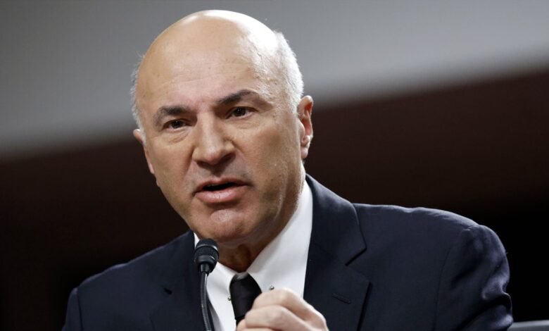 1749668620 Shark Tanks OLeary warns anti ICE riots devastating LA small businesses.jpg