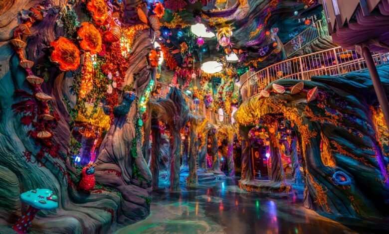 1749713356 Meow Wolf and Niantic Spatial explore expansion of multimedia art.jpg
