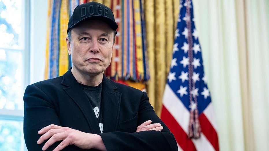 Musk in the White House