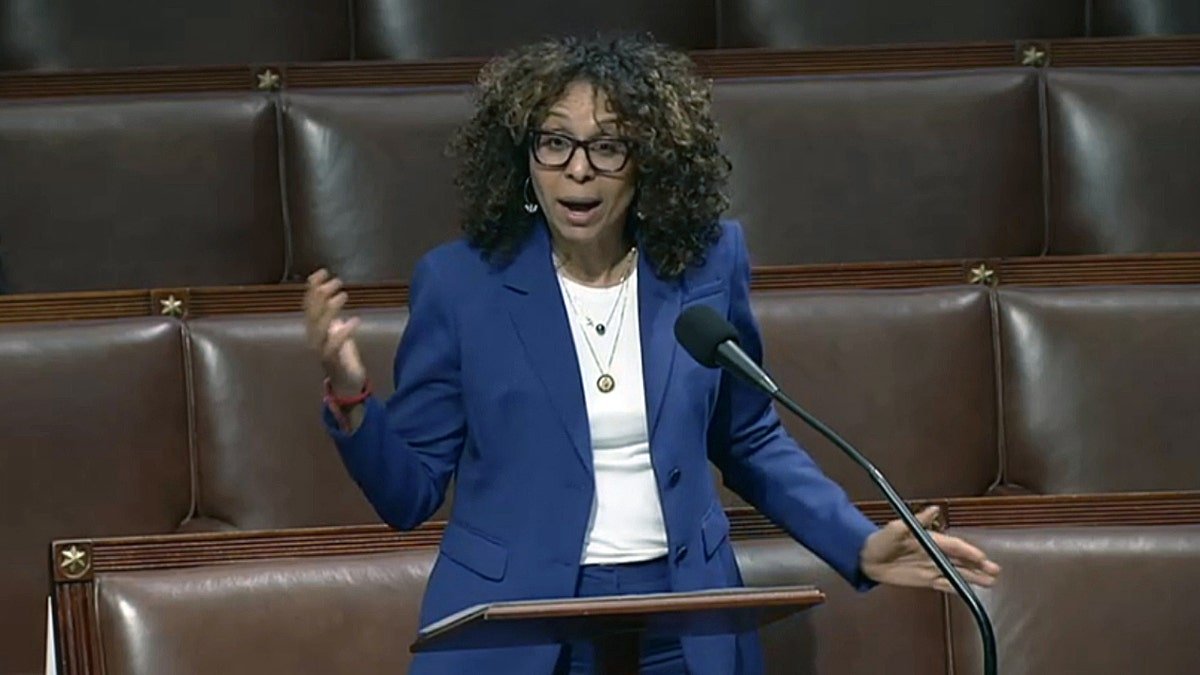 Representative Sydney Kamer Dave speaks during the discussion of the House of Representatives