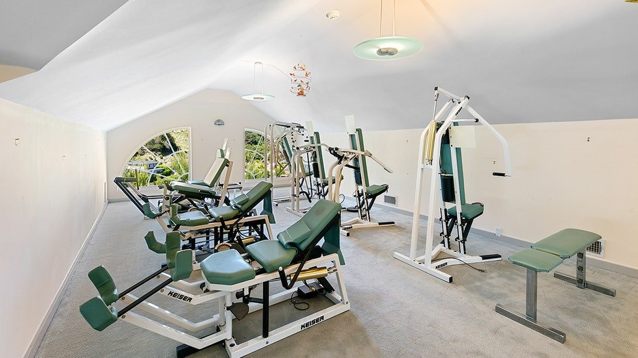 The basic bedroom also includes a gym.