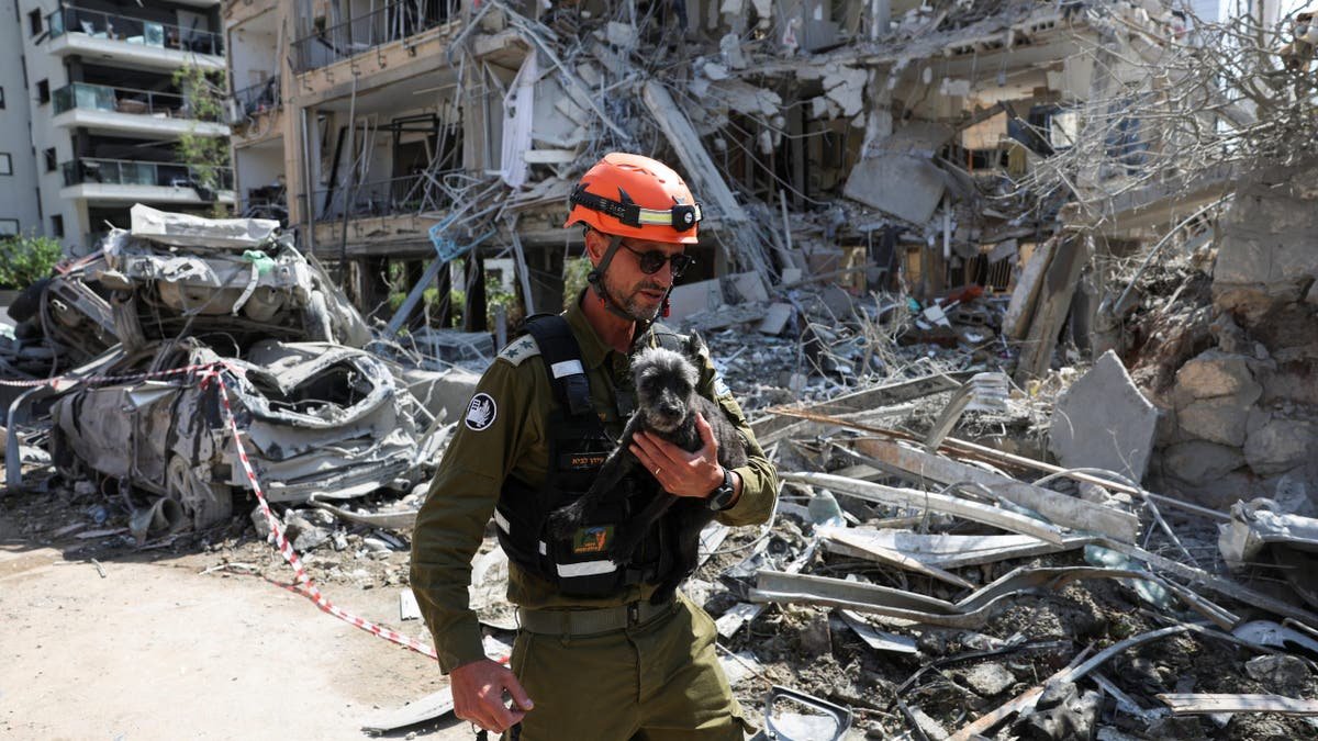A rescue member Tess, a dog rescued from a building struck at an impact location after a missile attack from Iran on Israel, in Ramat Gan, Israel, June 14, 2025.