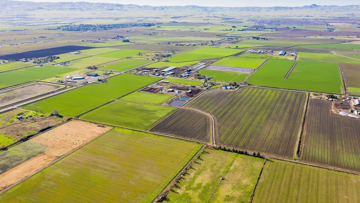 Air view of agricultural lands in central California.