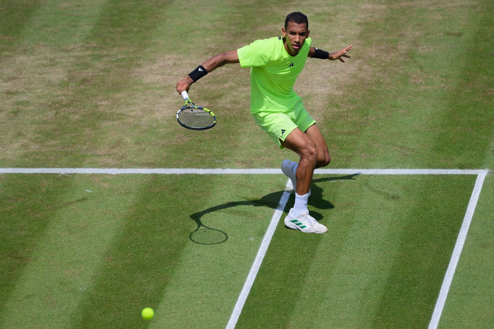 Auger -aliassime at the Boss Open 2025 - Day 6 - Source: Getty