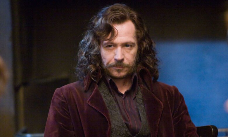 1750342880 Gary Oldman Wants To Play This Character In HBOs Harry.jpg