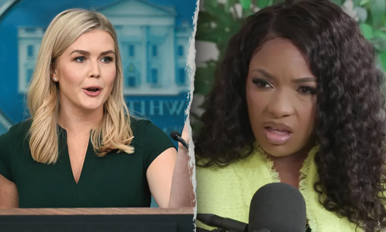 1750364630 Leavitt sharply rebukes Texas Democrat for her swipe at sick.png