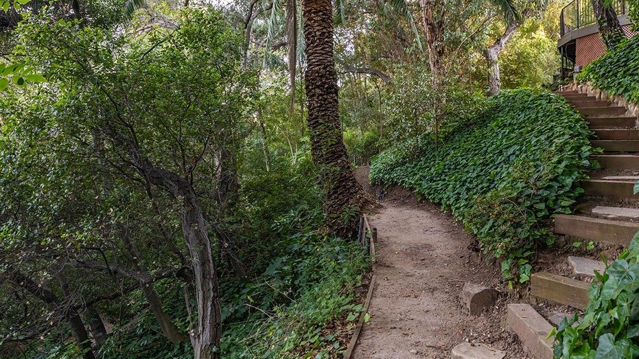 A group of wooden stairs leads to a trail along the hill covered with a pulp.