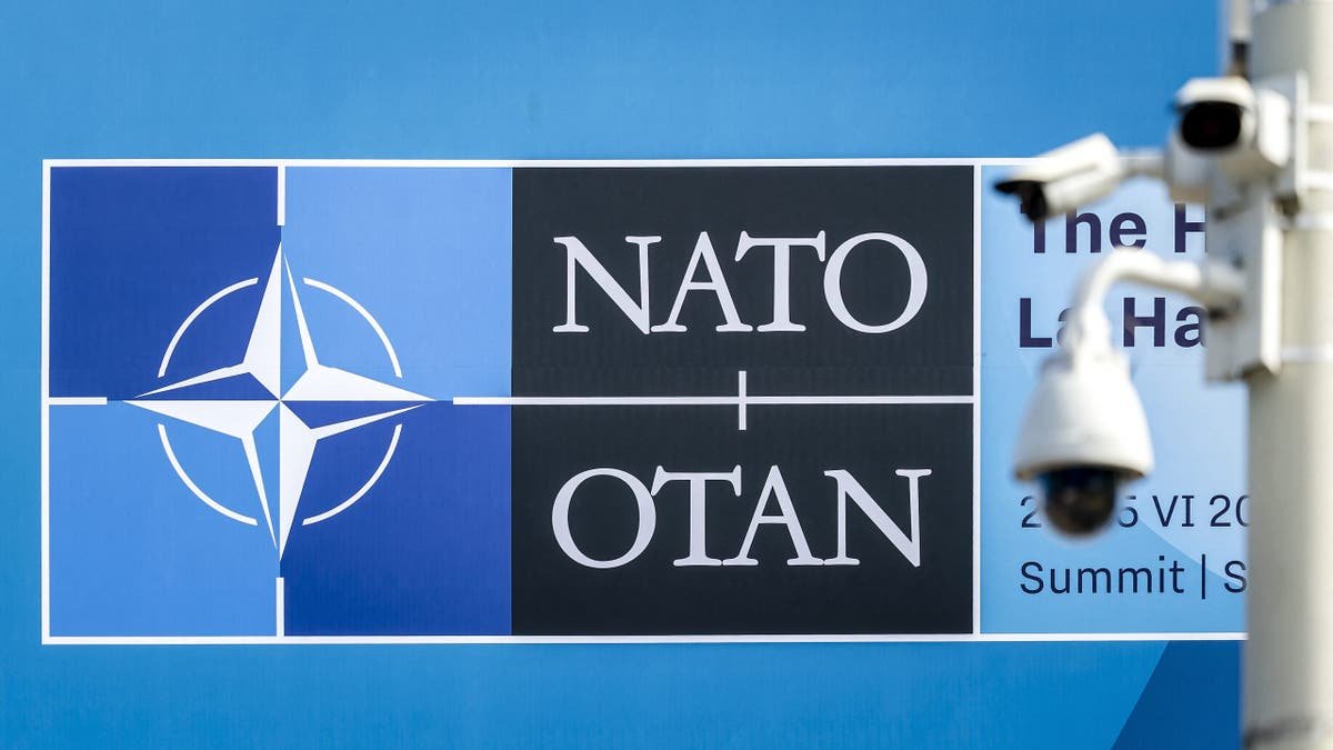 The NATO summit in the Netherlands will be held this week.