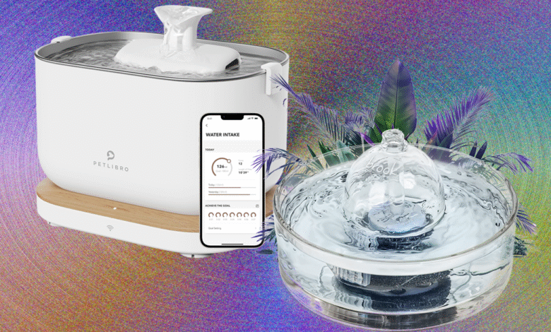 1750856749 9 Best Cat Water Fountains WIRED Tested and Reviewed 2025.png