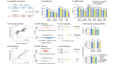 1750969667 Google DeepMind Releases AlphaGenome A Deep Learning Model that can.png