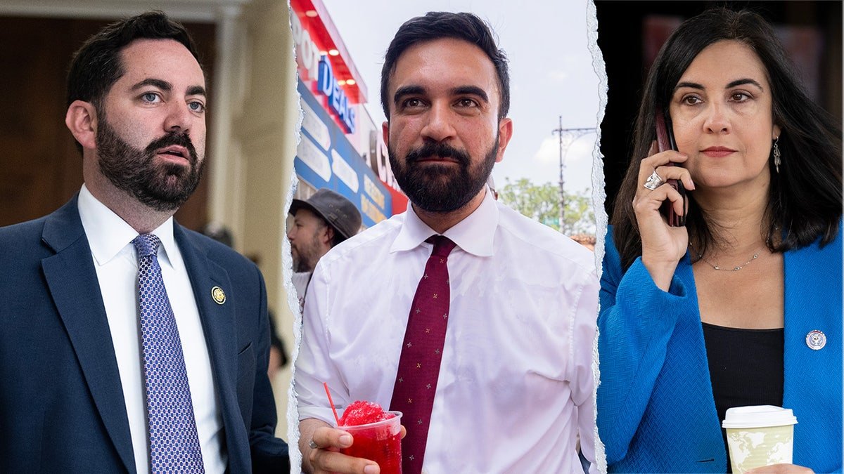 Mike Loler, Zahran Mamdani, Nicole Malekotis from left to right