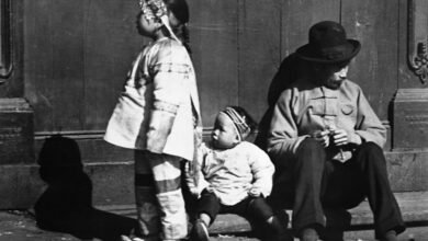 1751084584 Strangers in the Land Shares the Forgotten Stories of Chinese.jpg