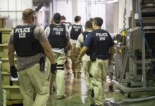 1751102865 Providence backs Know Your Rights mailers amid Trump immigration policy.jpg