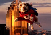 1751110483 A Live Action Disney Superhero Movie Was A Parody Of A.jpg