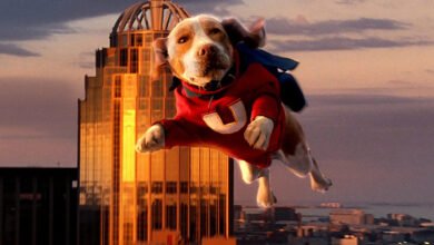 1751110483 A Live Action Disney Superhero Movie Was A Parody Of A.jpg