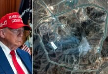 1751117501 Heres what happened during Trumps 23rd week in office.jpg