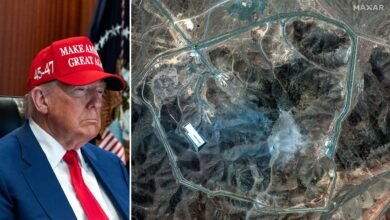 1751117501 Heres what happened during Trumps 23rd week in office.jpg