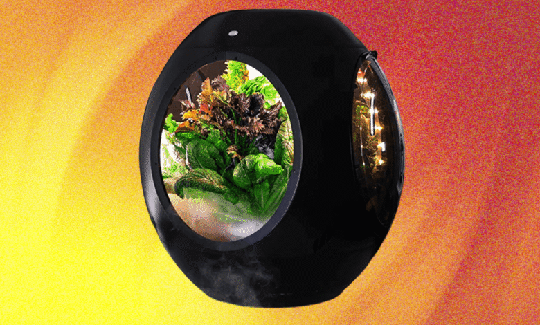 1751255858 Plantaform Smart Indoor Garden Review Rewarding but Risky.png