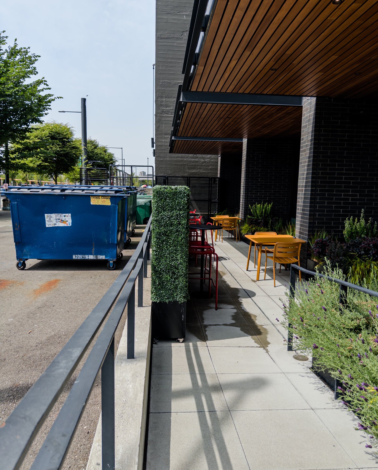A high contrast image of outdoor yard.